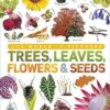 Our World in Pictures: Trees, Leaves, Flowers & Seeds: A visual encyclopedia of the plant kingdom