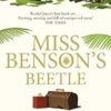 Miss Benson's Beetle: An uplifting story of female friendship against the odds