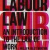 Labour Law: An Introduction to the Law of Work