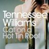 Cat on a Hot Tin Roof