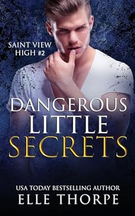 Dangerous Little Secrets: A Reverse Harem Bully Romance