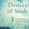 Destiny of Souls