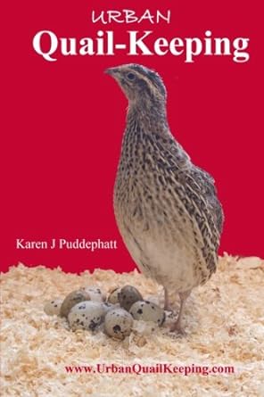 Urban Quail-Keeping
