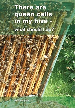 There are queen cells in my hive: - what should I do?