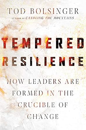 Tempered Resilience - How Leaders Are Formed in the Crucible of Change