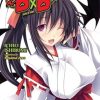 High School DxD, Vol. 13 (light novel)