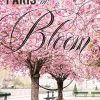 Paris in Bloom