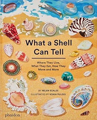 What A Shell Can Tell