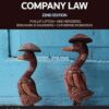 Understanding Company Law 22nd Edition