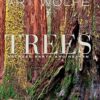 Trees: Between Earth and Heaven: Volume 1