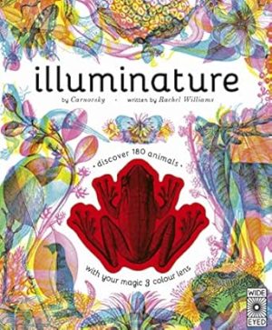 Illuminature: Use the magic viewing lens to discover a hidden world of animals: Use the magic viewing lens to discover a hidden world of animals
