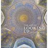 Art of Looking Up