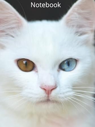 cute white cat Composition Notebook " Hardcover " -8.25×11- / By : Limam School: ( Kitten, curious, funny, sweet, eyes, gray, happy, pet, mammal, fun, ... breed, fur, whisker, fashion, paw, mirror )