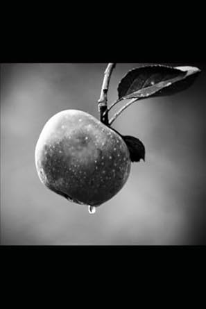 Some Poems Rhyme at Times: A Harpy Hymnal