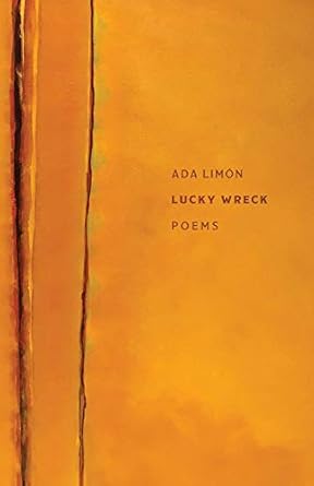 Lucky Wreck: Poems