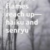 campfire flames reach up—haiku and senryu