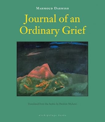Journal Of An Ordinary Grief