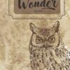 Notebook Wisdom begins in Wonder -Socrates: Notebook A5 Ideal Para regalar, guardar sueños o proyectos