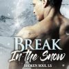 Break in the snow: Broken Soul 1.5