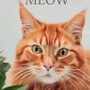 MEOW: a novel for cats