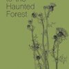 Field Guide to the Haunted Forest