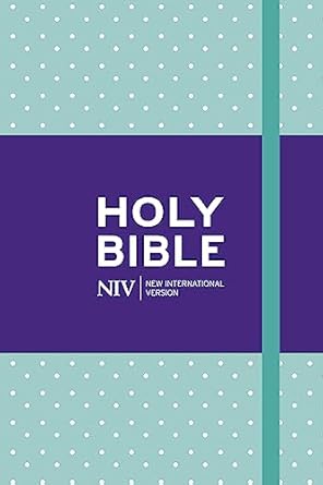 NIV Pocket Mint Polka-Dot Notebook Bible