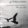 The Notebook of Trigorin – A Free Adaptation of Chechkov`s The Sea Gull