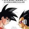 Dragon Ball Z It's Over 9,000 ! Des visions du monde en collision