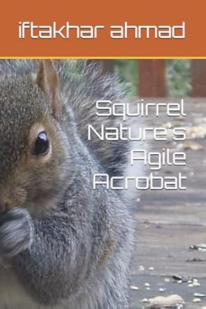 Squirrel Nature's Agile Acrobat