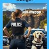 Stepping Into Danger: A K-9 Police and Romance Adventure