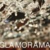 Glamorama