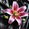 Leather and Lillies: Inflamed Flowers