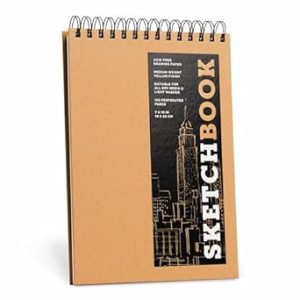 Sketchbook (Basic Medium Spiral Fliptop Landscape Kraft): Volume 19