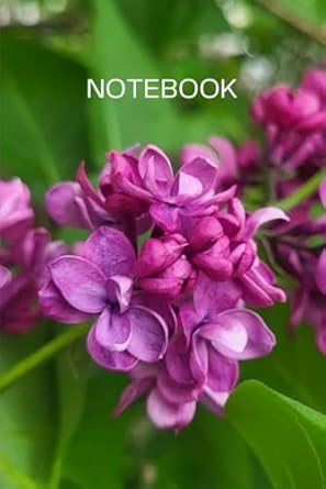 Notebook: 120 blank lined pages