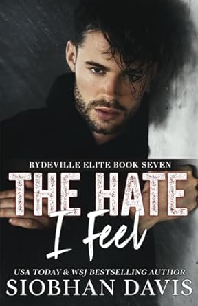 The Hate I Feel: A Dark Bully Romance