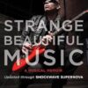 Strange Beautiful Music: A Musical Memoir