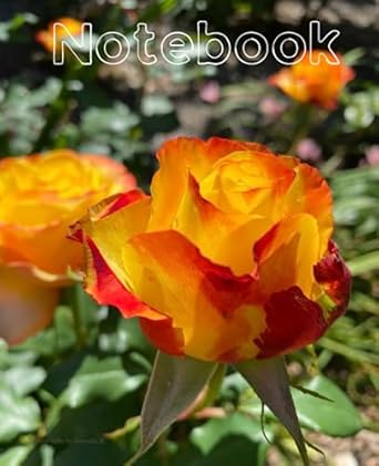 Fire Rose Notebook (Real Photography): College Ruled |100 pages | 7.5 x 9.25