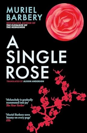 A Single Rose