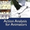 Action Analysis for Animators