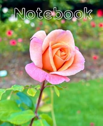 Single Rose Notebook (Real Photography): College Ruled |100 pages | 7.5 x 9.25