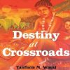 Destiny at Crossroads