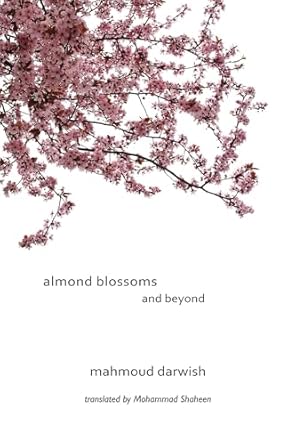 Almond Blossoms and Beyond
