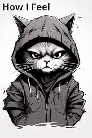 How I Feel vs How I Look: Funny Cat Notebook, Lined, 100 pages