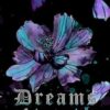 Dreams of Truth: A Dark Romantasy novella