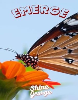 EMERGE: OVERCOMING FAILURES AND SETBACKS: TURNING CHALLENGES INTO OPPORTUNITIES