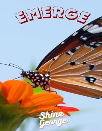 EMERGE: OVERCOMING FAILURES AND SETBACKS: TURNING CHALLENGES INTO OPPORTUNITIES
