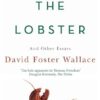 Consider The Lobster: Essays and Arguments