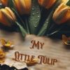 My Little Tulip