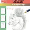How To Draw Woodland Animals: In Simple Steps