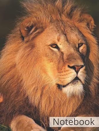 Forest King Lion Composition Notebook " Hardcover "/ By : Limam School: ( lions, pair, wild animals, wild cats, big cats, feline, carnivores, beasts, ... nature, animal world, lioness, clouds )